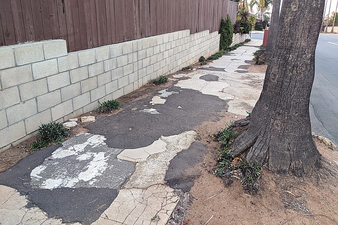 A damaged sidewalk in Point Loma.