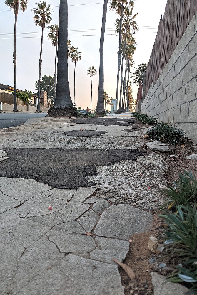 A damaged sidewalk in Point Loma.