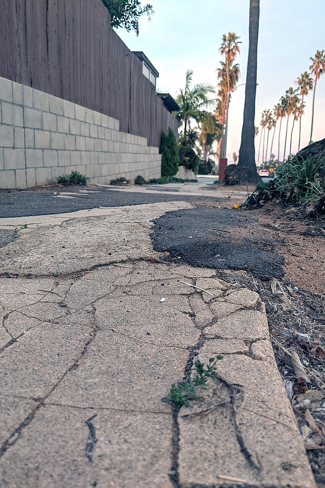 A damaged sidewalk in Point Loma.