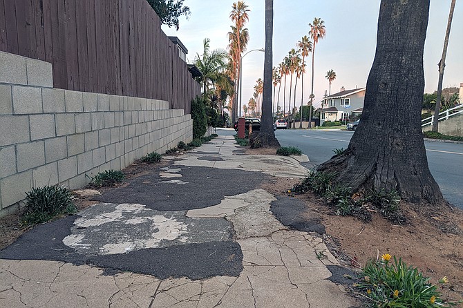 A damaged sidewalk in Point Loma.