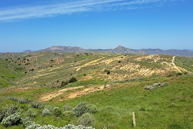 Hiking the Trans Catalina Trail to Black Jack Campground.