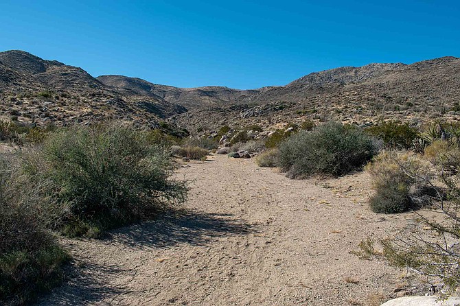 Walking along the wash