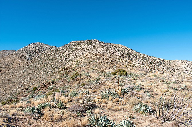 The mountain shoulder