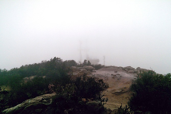 Looking at the tower on Cowles.