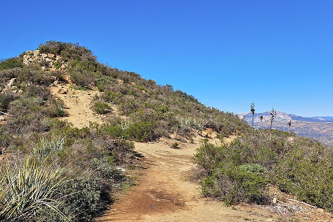 McGinty Mountain Peak.