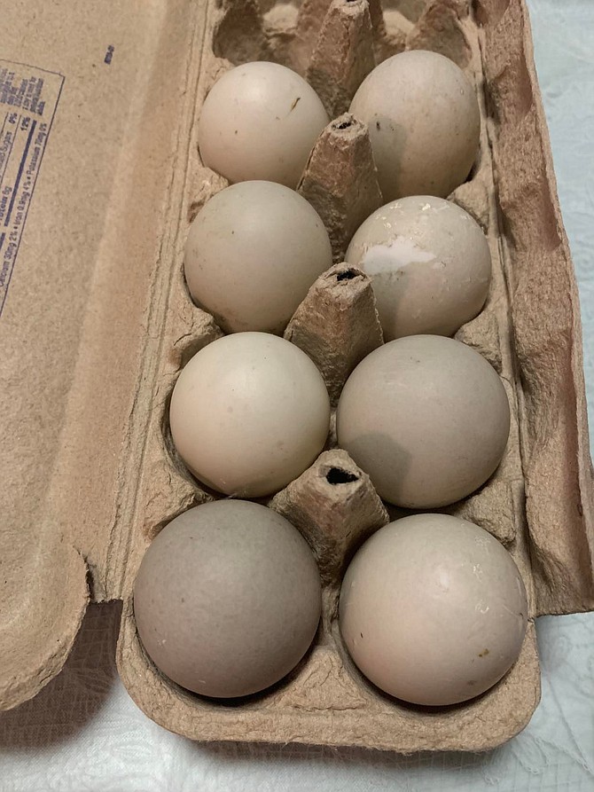 "There has been a large increase in the volume of prohibited food items, such as raw eggs and raw poultry meat, brought by travelers from Mexico."