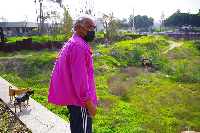 "Machinery was brought at night, and they chopped down 400 trees."