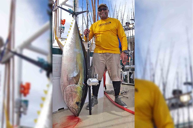 Plenty of big yellowfin tuna for anglers aboard the long-range fleet, including several over 200 pounds, like this fine fish caught aboard the Royal Polaris.