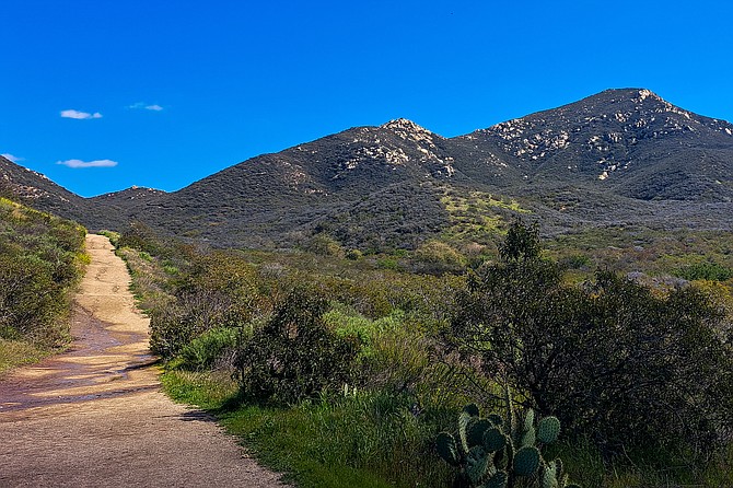 Looking forward on the straightaway towards Iron Mountain.