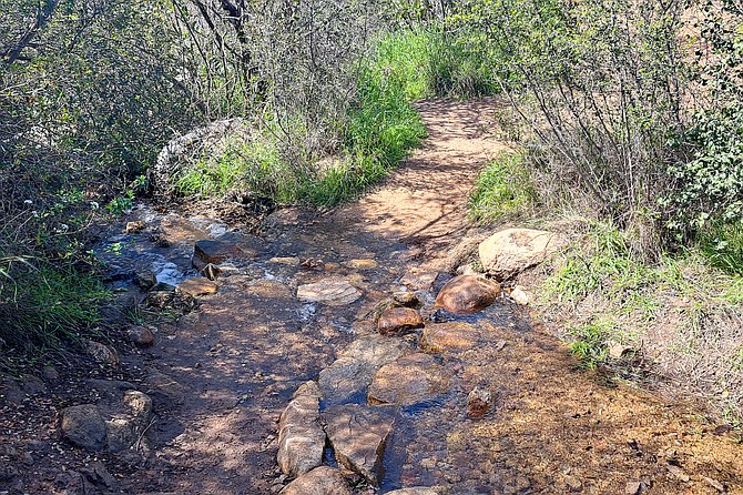 A small creek flowing from the recent rains.