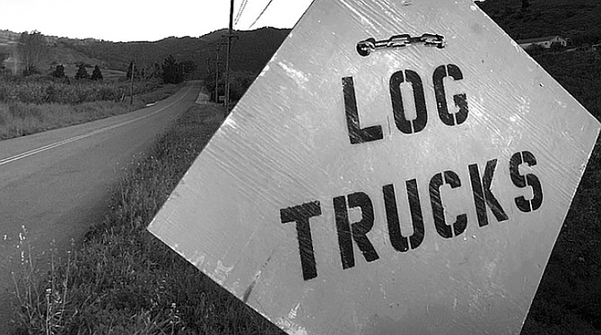 About four trucks a day come down off the mountain carrying the trunks of "incense cedar, white fir, and coulter pine."