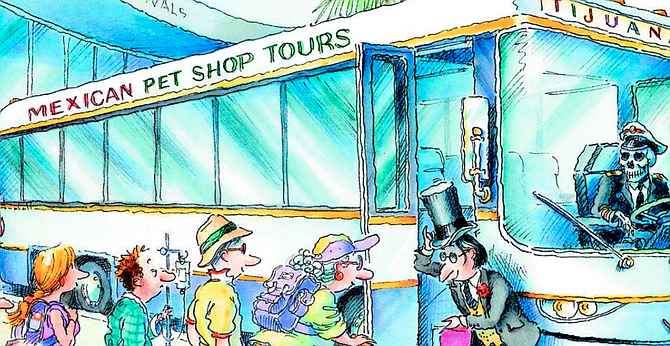 “What are those veterinary pharmacies doing down there in a tourist area? They’re not there for pets.”