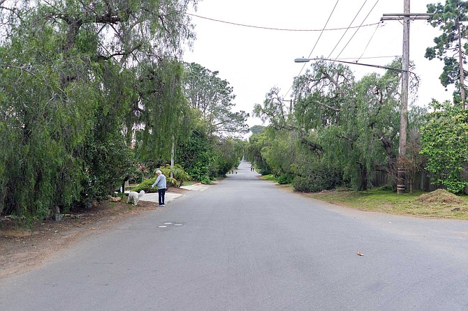 The toniest address on the Point Loma peninsula is The Wooded Area, where sidewalks are conspicuously absent.