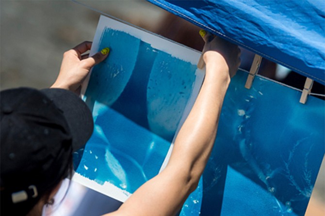 Learn the cyanotype, or sun printing, process with Oriana Poindexter.