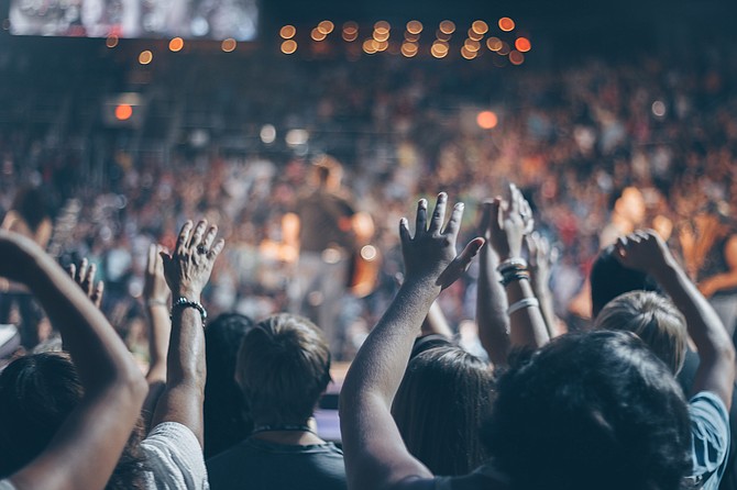 Crowd at the concert