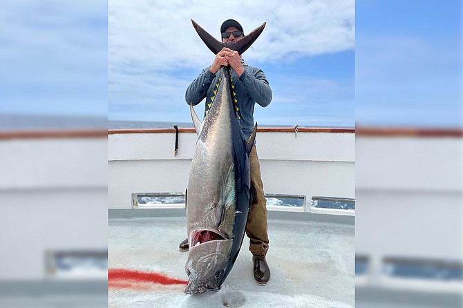 When they are biting, the size of the bluefin has been impressive overall.