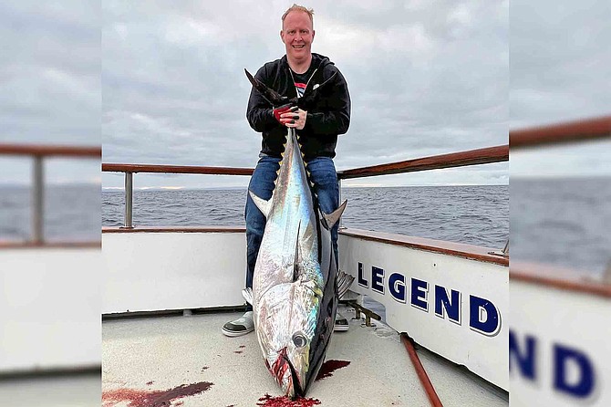 Bluefin tuna counts edging up with more fish showing on the