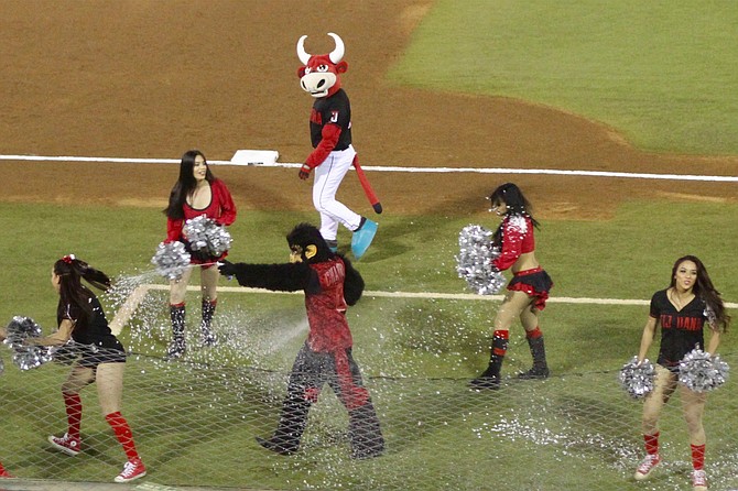 As Toro looks on disapprovingly, Chango the monkey monkeys with the cheerleaders.