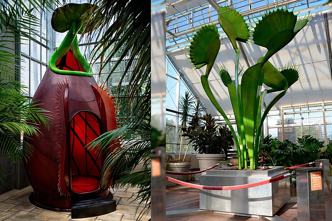 A 10-feet-tall Tropical Pitcher Plant invites visitors to step inside to imagine the fate of an unlucky insect and the 10-feet-tall Venus Flytrap sculpture replicates the closing of the “trap” through the use of hydraulics.