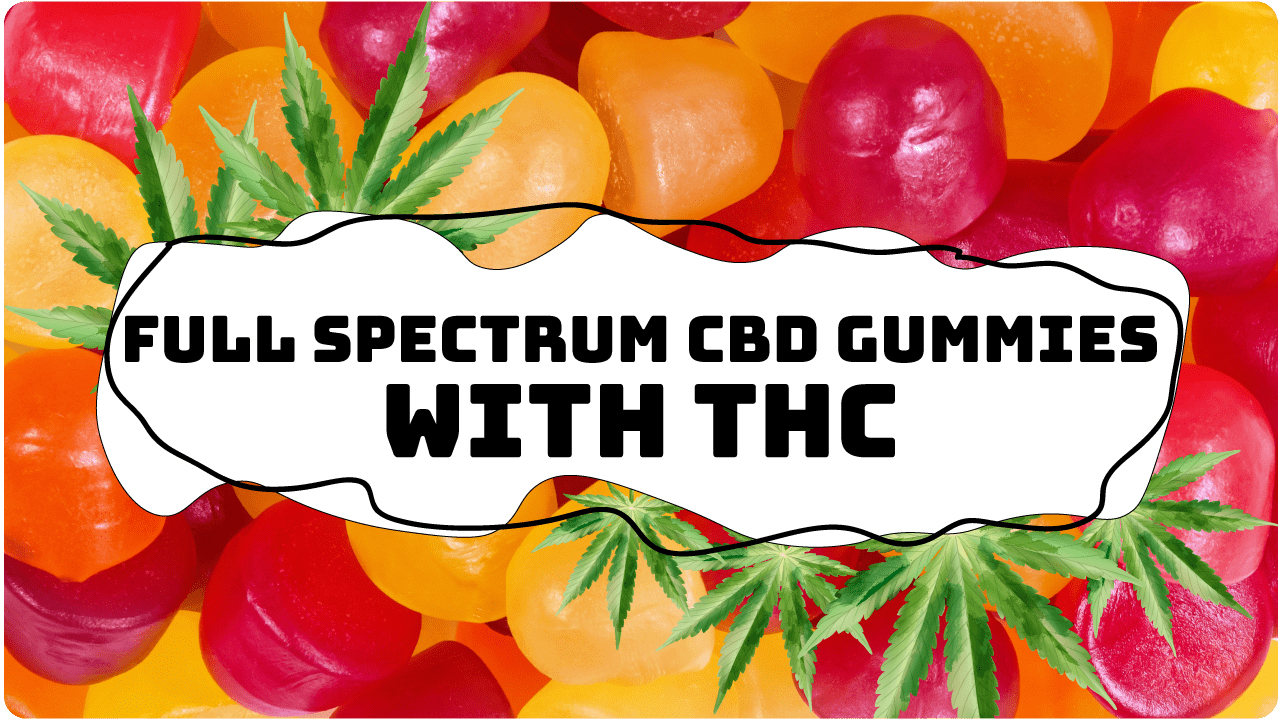 Best Full Spectrum CBD Gummies with THC - Vimarsana News