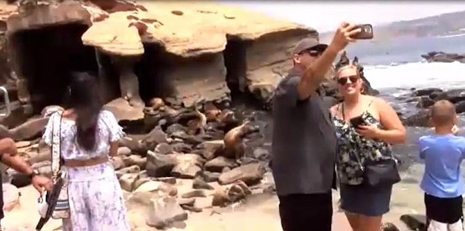 Selfies taken by visitors