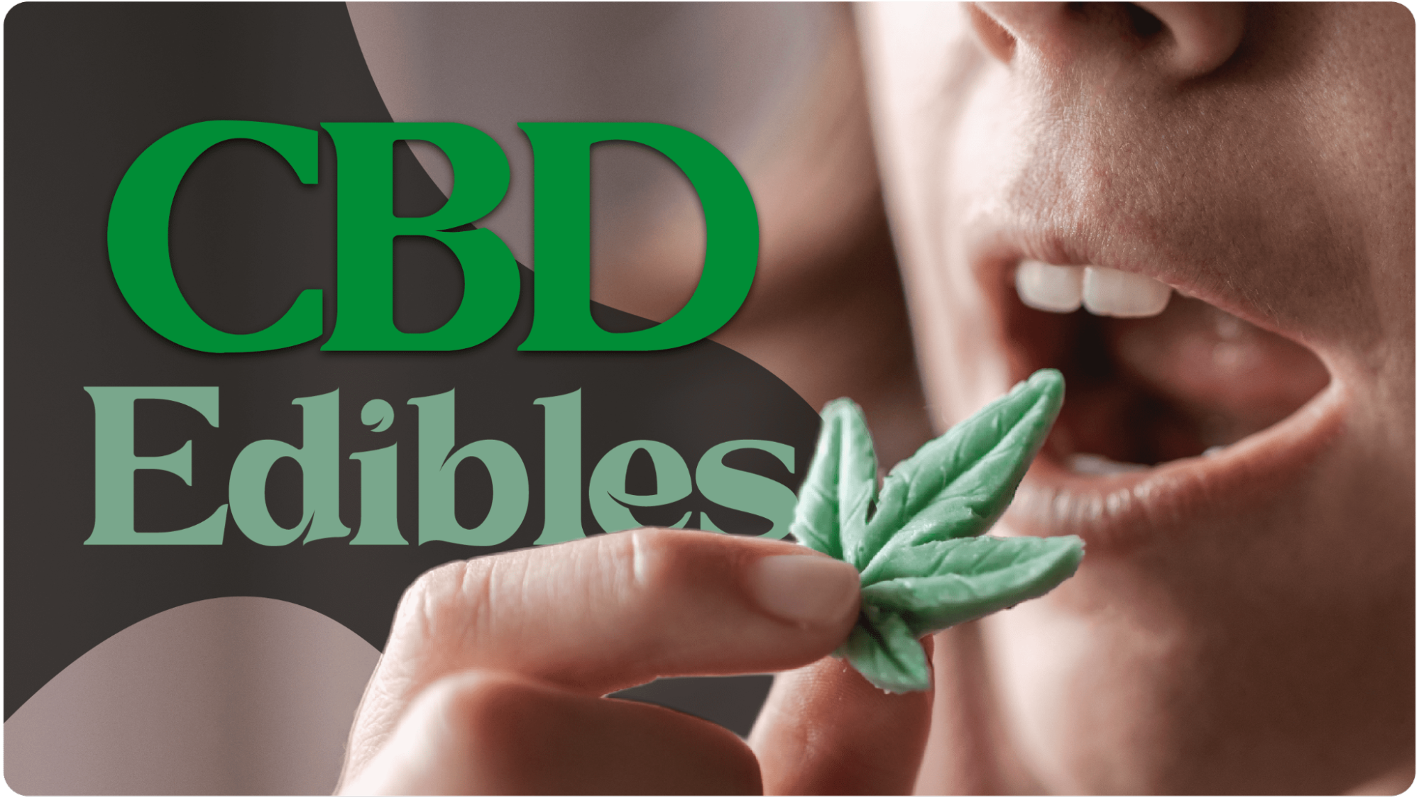 Top 6 Safest CBD Edibles to Buy Online in 2023 - Vimarsana News