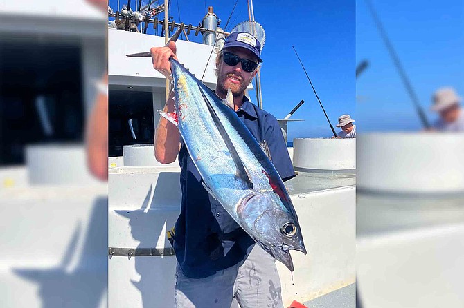 A lone albacore caught aboard the Aztec out of Seaforth Sportfishing on July 26th.