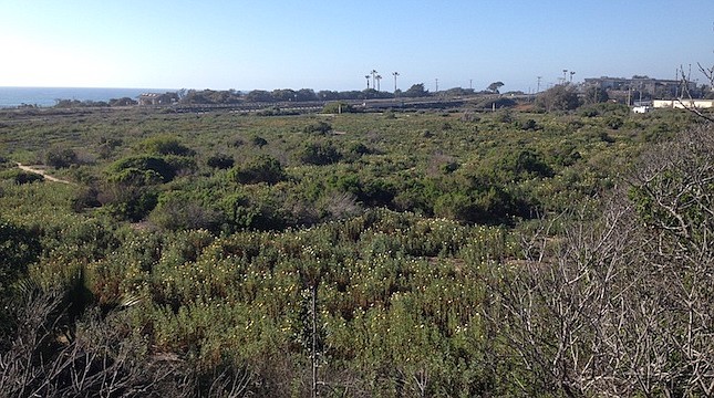 Undeveloped land in Ponto area of Carlsbad