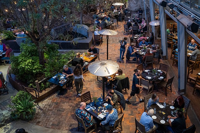 Stone's 27th Anniversay Celebration will be a nighttime affair.