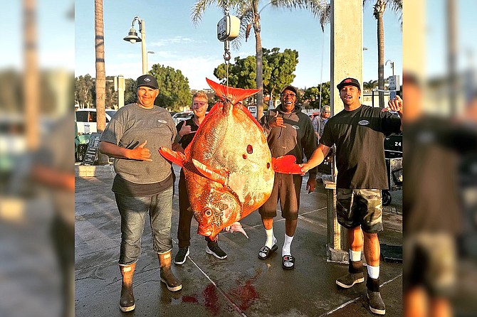 Beau Leaman (left) and Horizon crew with the pending all-tackle world record opah at the scale.
