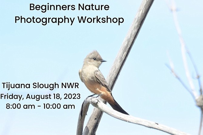 Learn how to shoot birds the right way.
