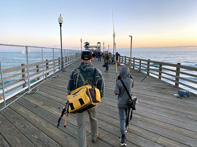 Go for a walk on Oceanside Pier on any given day, and you’re likely to see three things: a pelican or two perched next to the bait shop, waiting to be fed; a middle-age blonde woman with a pinched face, sort of like a hamster, talking to herself as she walks up and down the pier; and at least two or three dogs, even though canines are not allowed on the pier.