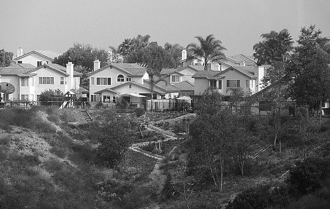 We had close to a thousand kids in our graduating class because Scripps Ranch had yet to build its own high school.