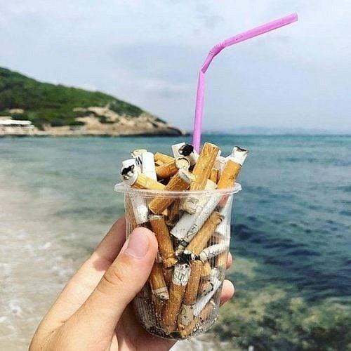 Join us for a volunteer event at La Jolla Shores where we'll clean up the beach.