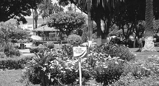 "All the men who work at Real del Mar have different names for the plants. One guy from one state will call a plant one thing, a guy from another state will call it something else."