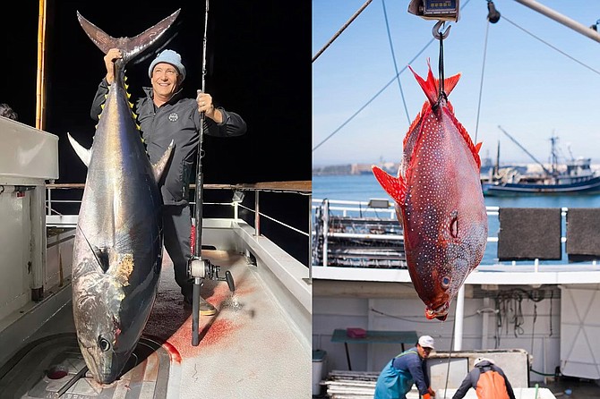 (left) A whopper of a bluefin at 265-pounds caught on a 3-day trip aboard the New Lo-An.
(right) Fresh-caught opah being offloaded at the Tuna Harbor Dockside Market.