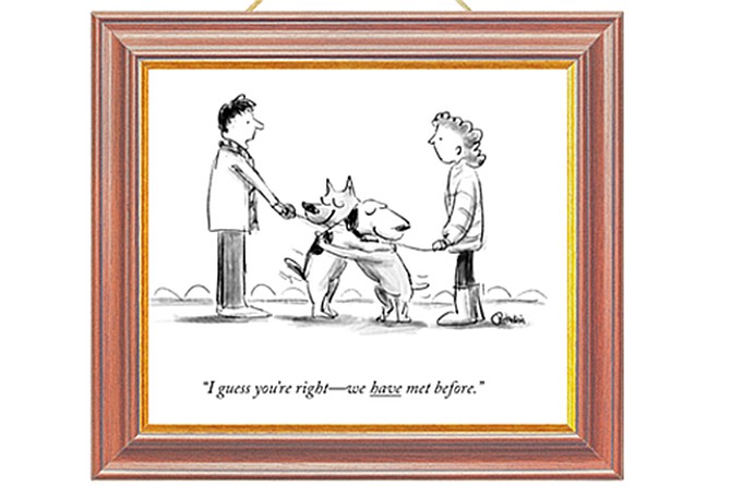 Pet Projects: Animal Cartoons by Lisa Rothstein
