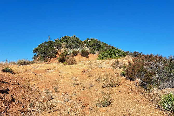 The summit