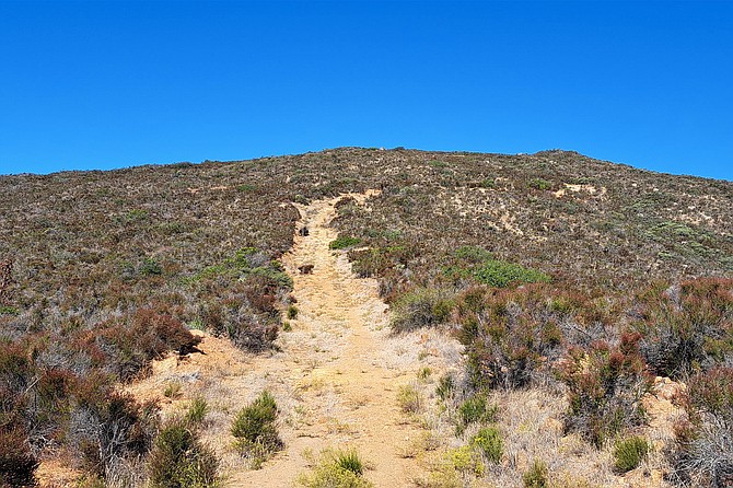 Trail ascending while near the top.
