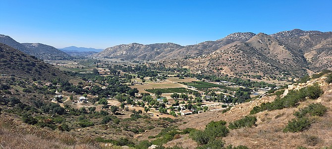 Looking west into blossom valley.