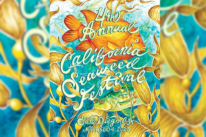 The California Seaweed Festival arose from the decades of studying seaweeds, admiring their beauty and learning myriad ways that seaweeds make life better.