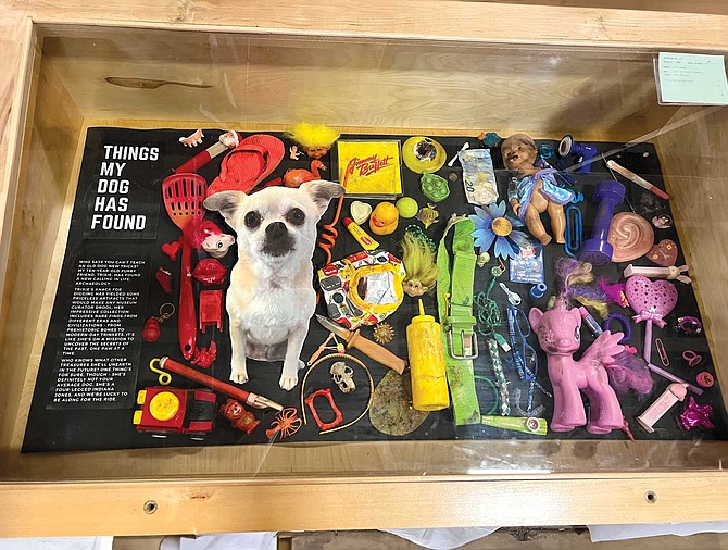 Valencia returned to the fair this year with a collection of several dozen items tht his dog Trixie, a nine-year-old pug- chihuahua-poodle mix, happened to pick up or dig up over the last year.