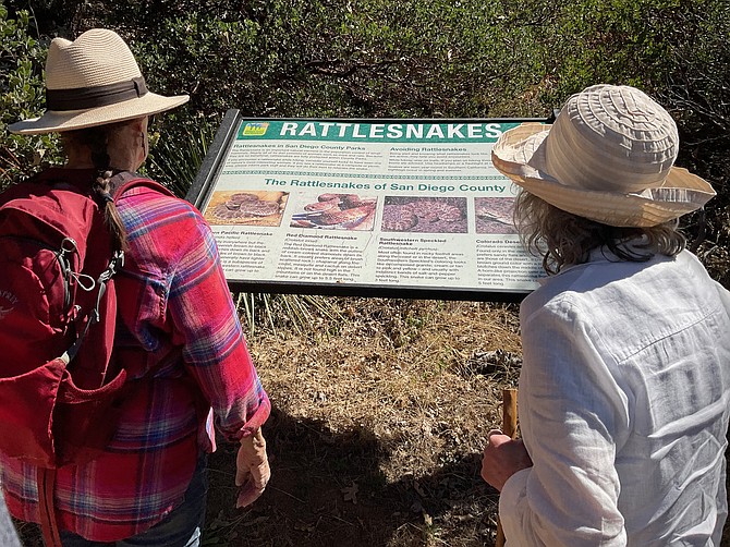 Can’t say they didn’t warn you: a sign tells you how to handle a mountain lion