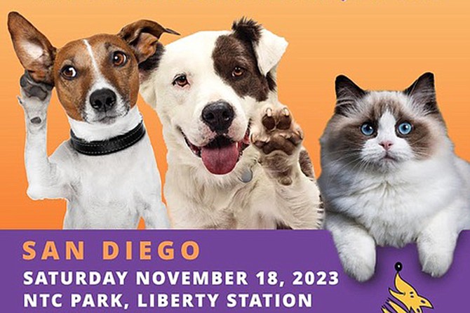 The Doggie Street Festival is the West Coast's largest pet adoption festival.