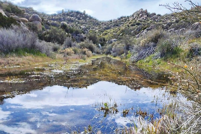 The epic rains of 2022/2023 inspired my caving buddies and me to pay Thunder Canyon Cave a visit; we knew that all that water would make the cave live up to its name.