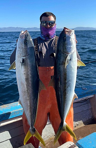 A nice pair of jacks. Good yellowtail fishing is just a few hours drive south of the border out of Castro’s Fishing in Erendira
