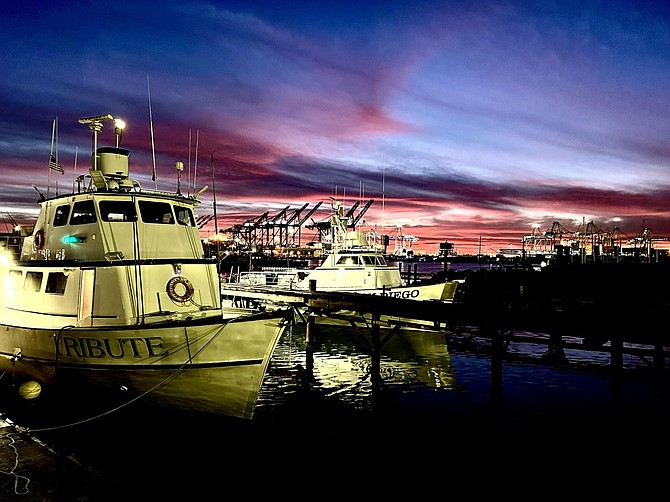 The Tribute and San Diego are finishing up annual maintenance at the docks in LA Harbor, and will be back online in 2024.