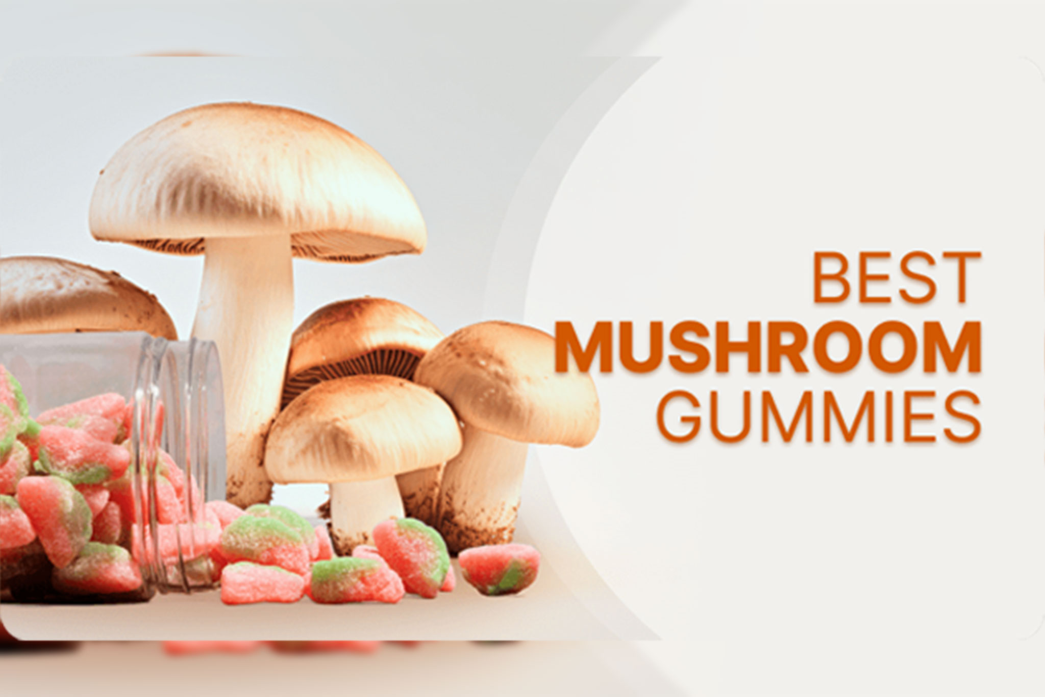 5 Best Mushroom Gummies: Products and Brands To Buy Online - Vimarsana News