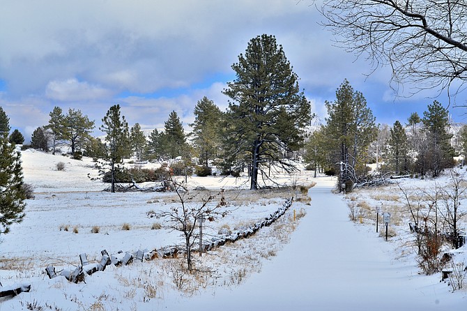 A snowy road in the Cuyamaca mountains.