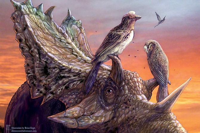 Learn about Enantiornithes and their relationship to dinosaurs in the prehistoric world.